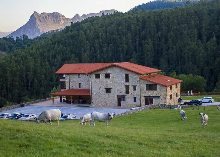 Baolafuente Апартаменты Расинес